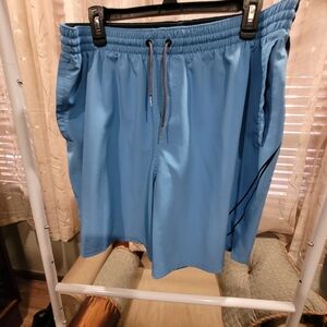 Nike Men's Blue Swim Shorts